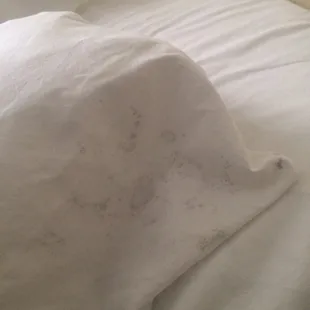 There's a mold problem at this hotel.