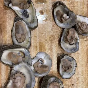 Oysters - Ordered Bucket. Put on bar in front of you.