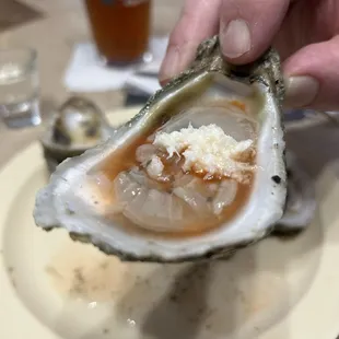 Raw Oyster