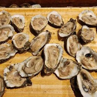 Oysters