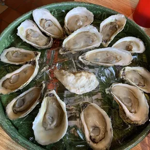 Oysters on the Half Shell