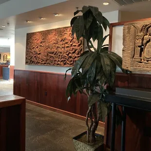 a plant in a pot in a restaurant