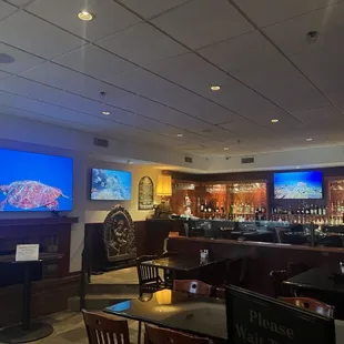 Aquarium TVs in front dining/bar area.