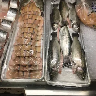 The eyes have it