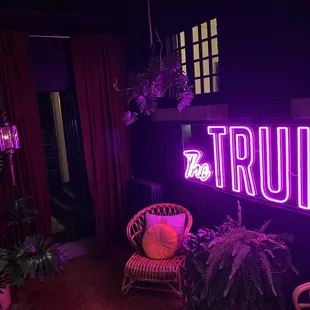 The back room is a built in porch filled with plants.