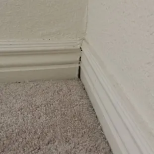 Molding separating from the wall because it rained.