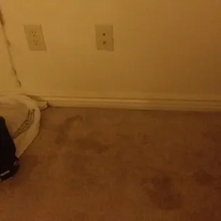 The spots are water coming up from the ground.