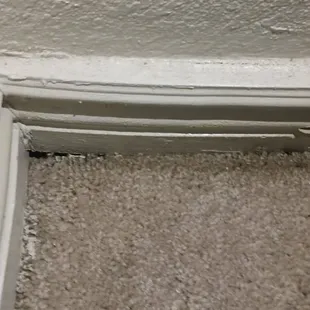 Molding damage that was not fixed for over a year and mold. Nothing was done to fix this.