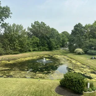 What a treat! Glad we pay dues!