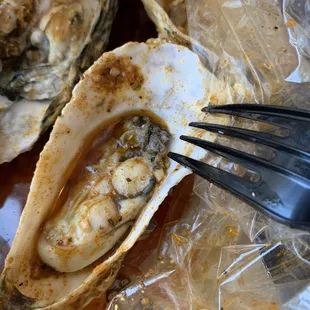 Steamed Clams