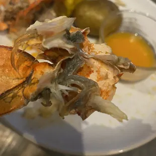 Disgusting Lobster tail