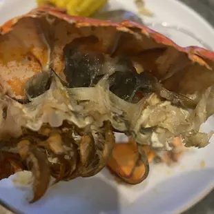 Disgusting Lobster Tail Shell