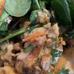 Chicken Tikka Masala Naanwich (01.26.2019)