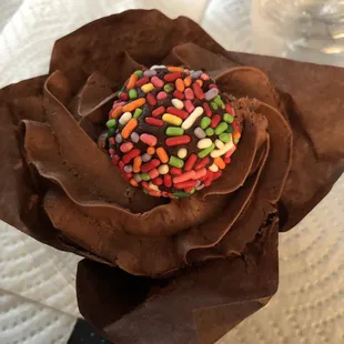 Chocolate raspberry cupcake