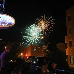 a crowd of people watching a firework display