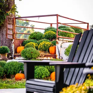 a garden with pumpkins