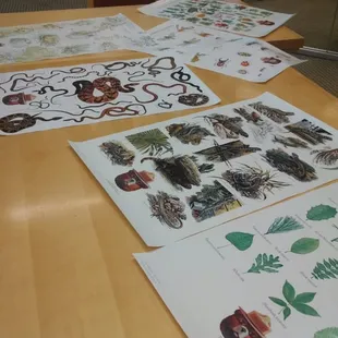 Donation of Forest Service posters in the special collections room of the main library at the University of Arizona.