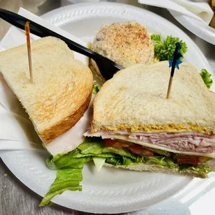 a cut in half sandwich