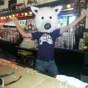 A bear behind the bar?