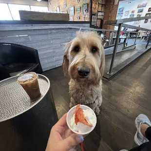 Don&apos;t forget a pup cup for the well behaved furry friends!