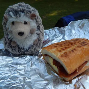 Hedgy the Hedgehog (a plush) for scale with a half breakfast sandwich to-go.