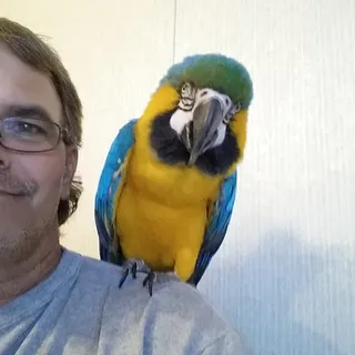 Steve F.