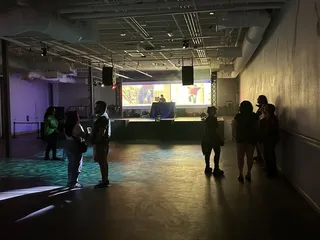 Swan Dive LV