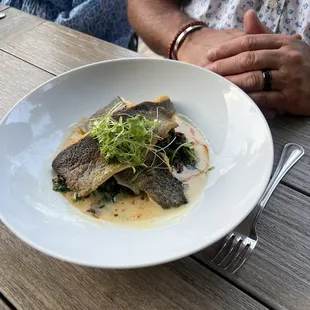 Trout