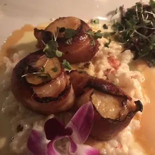Scallops