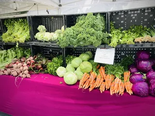 Downtown Farmer's Market