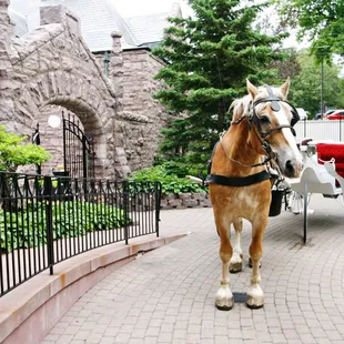A fairytale setting!
