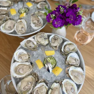 Happy hour oysters half off on wednesdays ($16 for one dozen)