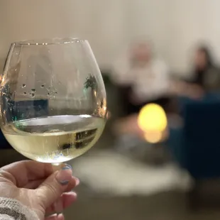 a person holding a glass of wine