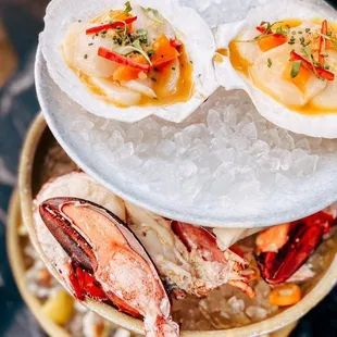 oysters and mussels, food