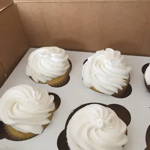 a dozen cupcakes in a box