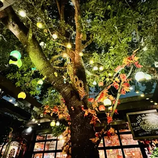 a tree decorated with lights