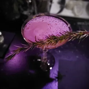 a pink cocktail with a sprig of rosemary
