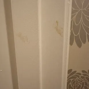 Fecal matter