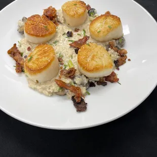 Scallops are the best!