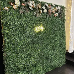 Hedge wall back drop