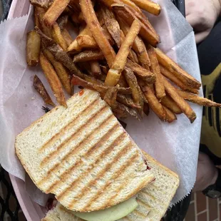 Turkey and Brie Panini with fries