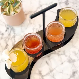 Mimosa Flight