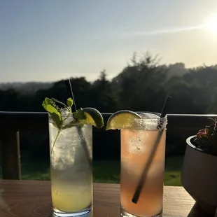 left side is a "mojito" right drink is a paloma o.o.