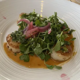 Scallops