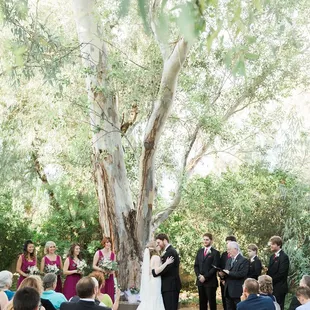 We are praying and hoping the Telegraph fire is under control soon and saves the beautiful Boyce Thompson Arboretum!