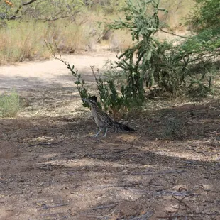 Bystanders stay pretty quiet.