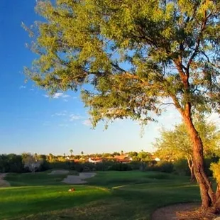 Great afternoon golf rates at The Views Golf Club.