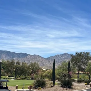 View from the patio