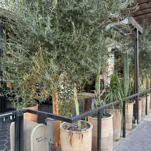 Outdoor patio