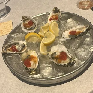 Fresh Oysters